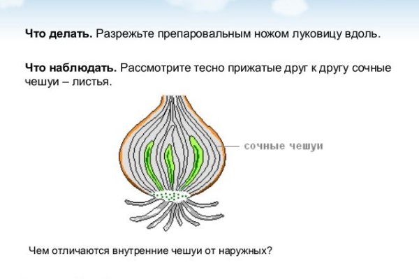 Кракен 9 at