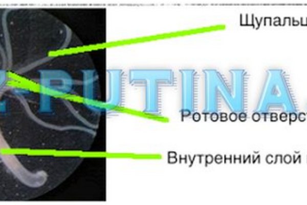 Кракен маркетплейс товары