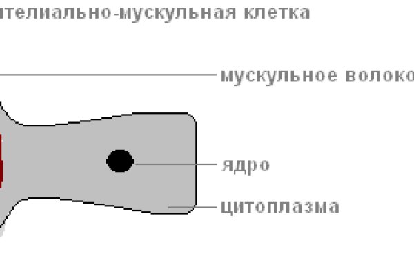 Ссылка на кракен реальная