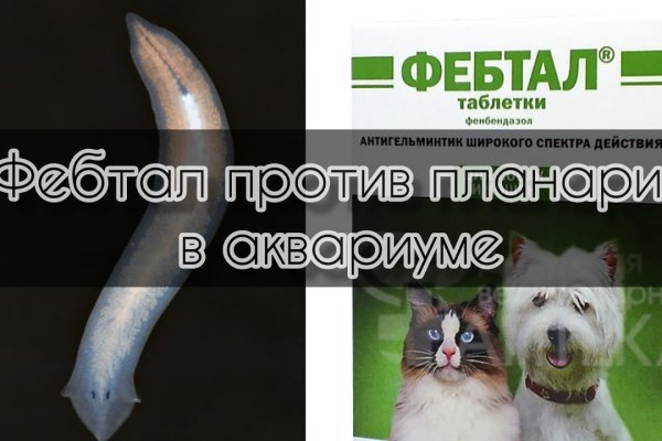 Kraken торговая площадка ссылка